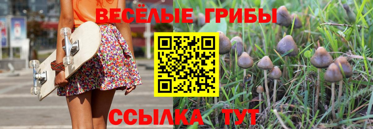 наркошоп  Псилоцибиновые грибы Psilocybine cubensis  Псилоцибиновые грибы Magic Shrooms  Вход с VPN  Знаменск 